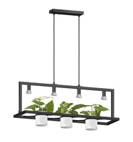 Lampa wisząca z kwietnikiem PLANTER Zuma Line P0536-04B-P7AB