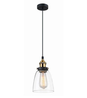 Lampa wisząca FRANCIS Italux MDM-2563/1