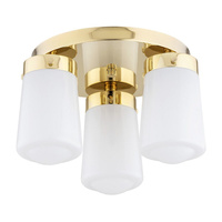 Lampa sufitowa PASADENA Argon 6165