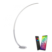 Lampa podłogowa srebrna Q-VITO LED Paul Neuhaus 445-55 sterowana pilotem funkcja smart