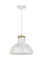 Lampa wisząca JOSE Zuma Line P15079-D22
