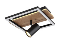 Lampa sufitowa KASSU LED Globo 67305D