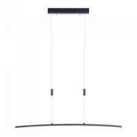 Lampa wisząca JANINA LED Paul Neuhaus 2530-13 sterowana bezdotykowo