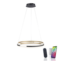 Lampa wisząca matowy okrąg 60cm sterowany pilotem i aplikacją Q-BELUGA Paul Neuhaus 2051-60