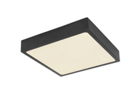 Lampa sufitowa ECHO LED Globo 12369-22