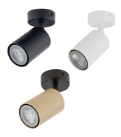 Lampa sufitowa oprawa spot ZOOM Sigma 33309 33314 33319 kolor do wyboru