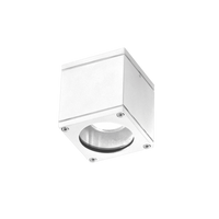 Oprawa sufitowa zewnętrzna JOE SQUARE WH biała IP54 AZZARDO AZ3324