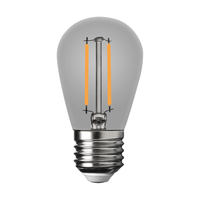 Żarówka Filamentowa dymiona LED 1W ST45 E27 2700K Smoked Eko-Light EKZF8263