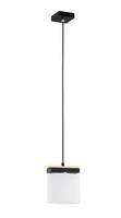 Lampa wisząca CANOA Argon 8276