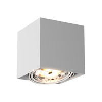 Oprawa BOX SL1 SPOT WHITE Zuma Line 89947-G9