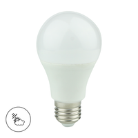 Żarówka Zmierzchowa LED 9W A60 E27 3000K Eko-Light EK8048