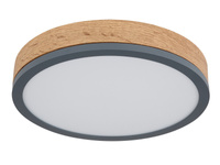 Lampa sufitowa DORO LED 30cm Globo 416080WD1R