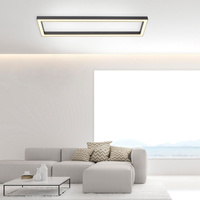 Lampa sufitowa PURE-LINES LED Paul Neuhaus 6023-13 sterowana pilotem