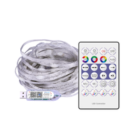 Girlanda Wizard Pchełka 10m 100LED RGB EK1387
