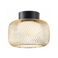 Lampa sufitowa okrągła 25cm siatkowa złota metalowa obudowa wraz z białym kloszem SOPRA 25 1xGX53 Candellux Studio 31-50984
