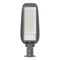 Lampa Uliczna Alley 100W 4000K 230V Eko-LIght EKO9910 - profesjonalne oświetlenie zewnętrzne