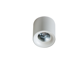 Spot MANE 30W WH AZZARDO AZ4155 - biała natynkowa oprawa LED 3000K