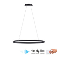 Lampa wisząca antracytowy okrąg 80cm TITUS Paul Neuhaus 2392-13 z wbudowanym ściemniaczem