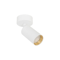 Oprawa sufitowa, ruchomy spot biały AMIS WHITE  1xGU10 Tk Lighting 10794