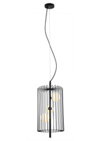 Lampa wisząca HAYDEN Italux MDM-3935/3 BK