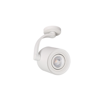 Biały reflektor natynkowy BROSS ARM WH AZZARDO AZ3498