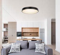 Lampa sufitowa WISS LED Globo 41744-48S sterowana pilotem 