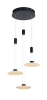 Lampa wisząca LAUTADA LED Paul Neuhaus 2082-18
