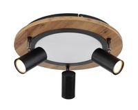Lampa sufitowa KASSU LED Globo 67307D
